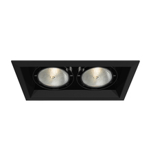 Eurofase Blue US TE132-01 - MULT,PAR30,TRM,2LT,75W,BL/BLK