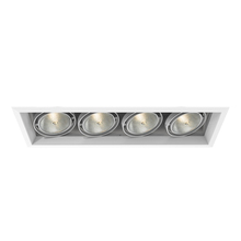 Eurofase Blue US TE134A-22 - MuLT, Par30, Trm, 4LT , 75w, Wt/wtt