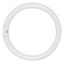 Satco Products Inc. S6597 - 27 Watt; T6; Circline Fluorescent; 2700K Warm White; 82 CRI; 4-Pin base